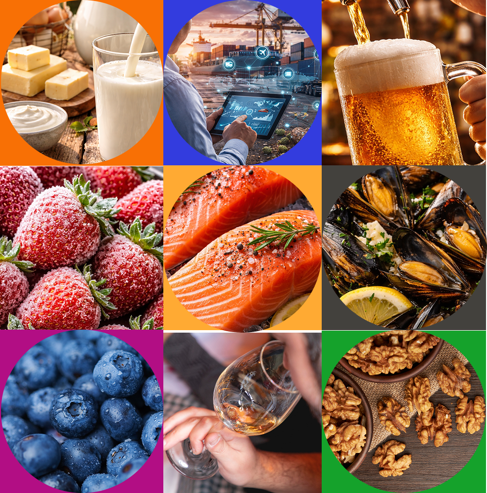 Sectores Priorizados