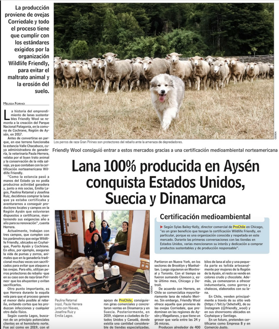 Destacado en prensa: "Lana 100% producida en Aysén conquista Estados Unidos, Suecia y Dinamarca"