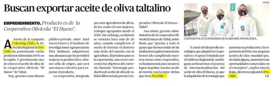 Cooperativa Olivícola de Taltal trabaja para alcanzar la exportación