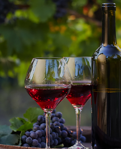 Diversidad de Vinos Origen Chile