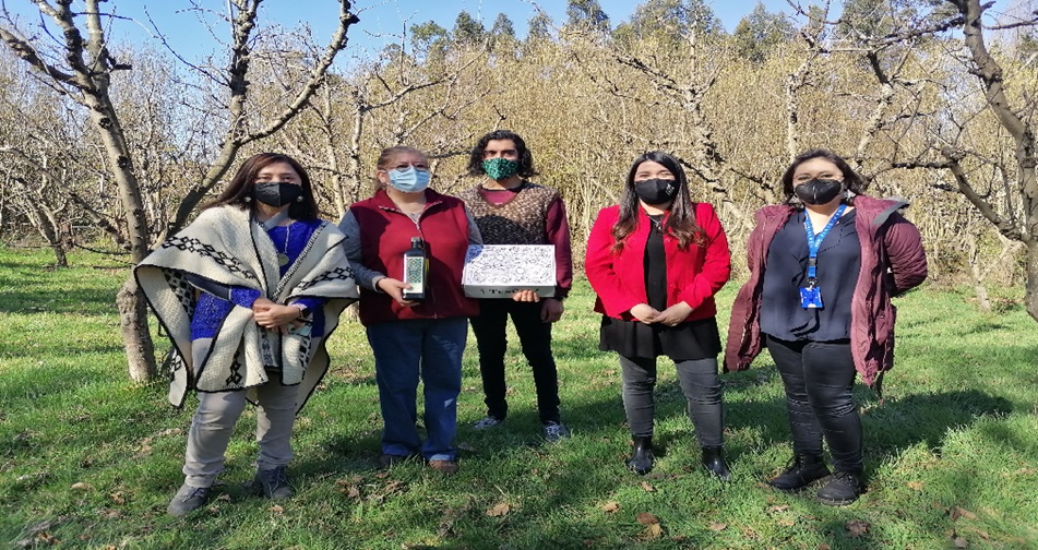 Día de la Mujer Indígena: ProChile visita a empresas lideradas por mujeres Mapuche en la región de La Araucanía
