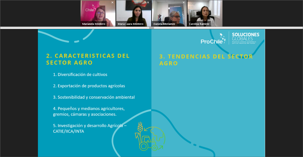 Programa Soluciones Globales ProChile talleres 2024