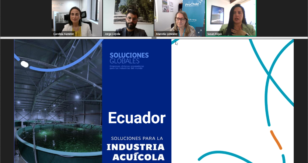 Talleres programa soluciones globales 2024