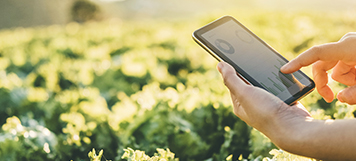 Programa acercamiento proveedores para el Agro Mexicano