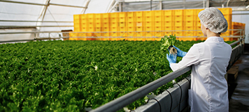 Misión a Suiza de Agritech y Alimentación