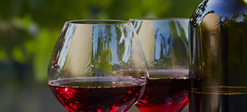 Diversidad de Vinos Origen Chile