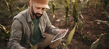 Estrategia de Innovación Alimentaria Europa