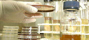 Misión Salud Innovación en Centroamérica