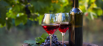 Misión Comercial de Vinos de la Región de Ñuble en Varsovia-Polonia