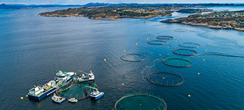 Market Fit: Estrategia para hacer Negocios en Escocia, Aquaculture UK