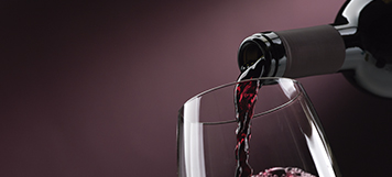 ProChile Wine Tours: Our Exclusive Selection