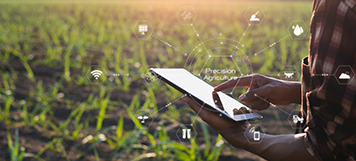 Chile Connected Innovación Alimentaria Canadá