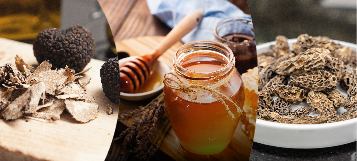 Feria Sial París: Gourmet e Innovación Alimentos