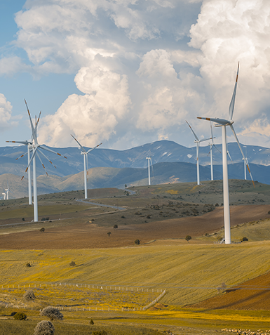 Misión comercial a Paraguay eficiencia energética y energías limpias