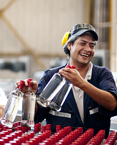 Nuevas bebidas espirituosas para el mercado canadiense