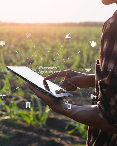 Chile Connected Innovación Alimentaria Canadá