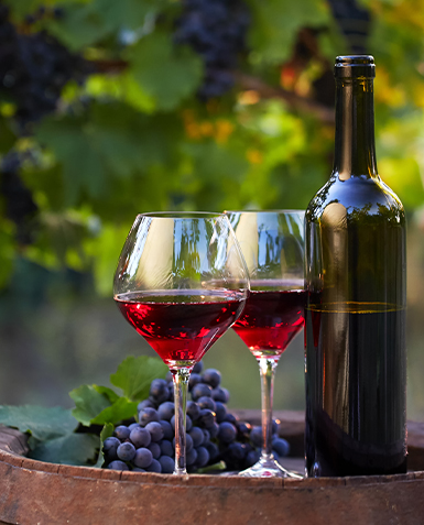 Misión Comercial de Vinos de la Región de Ñuble en Varsovia-Polonia