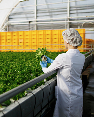 Misión a Suiza de Agritech y Alimentación