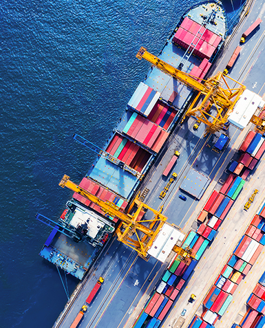 Fijación Precios de Exportación