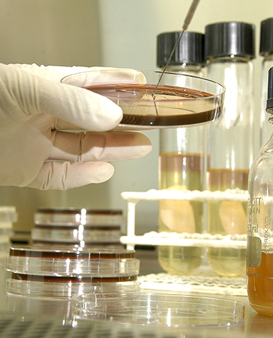 Misión Salud Innovación en Centroamérica