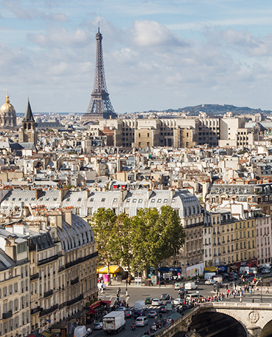 Oportunidades y Tendencias en el Mercado de Europa: Países Bajos y Francia