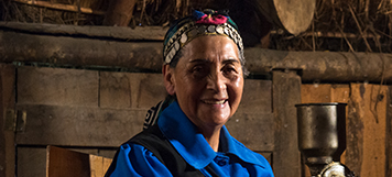 Programa de Internacionalización de Pueblos Originarios