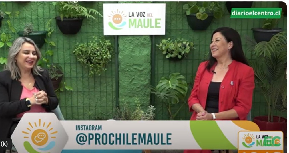 ProChile en la Región del Maule