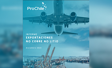 informe no cobre no litio