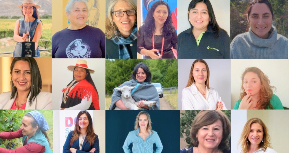 ProChile distingue a 16 mujeres líderes exportadoras