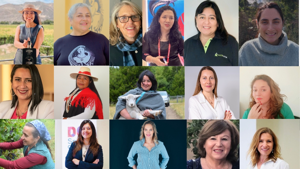 ProChile distingue a 16 mujeres líderes exportadoras