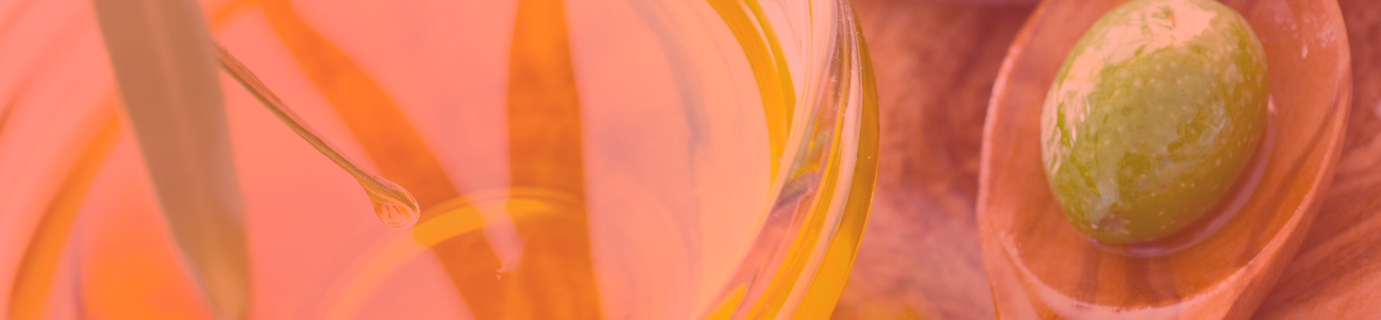 banner11