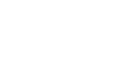 ProChile e-Exporta