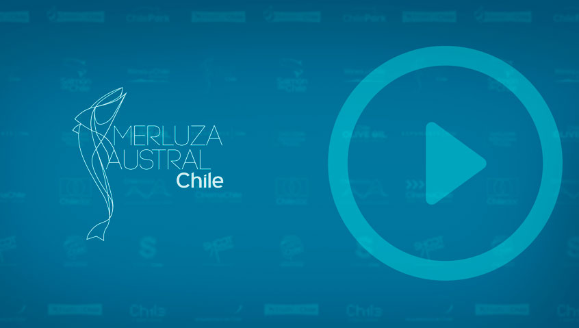 Portada_Merluza