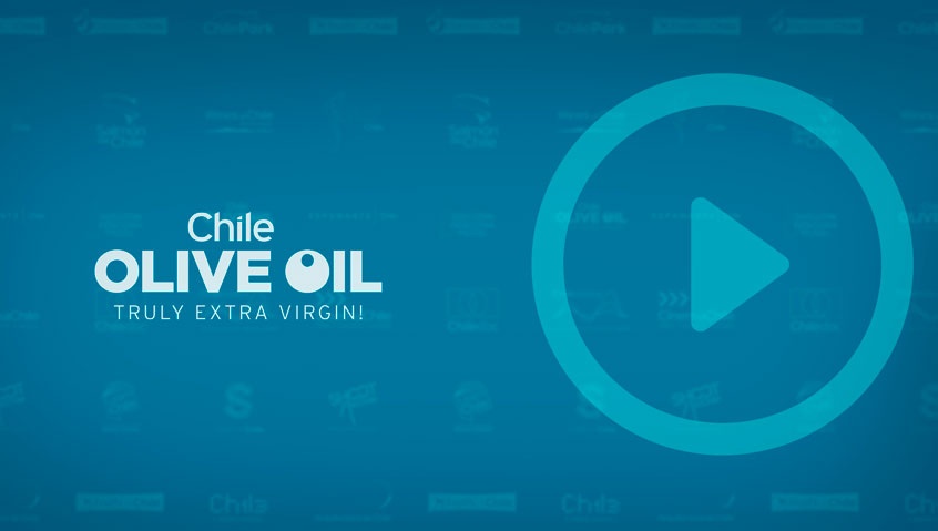 Portada_Olive
