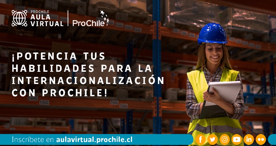 Aula Virtual es el nuevo programa de capacitación inclusiva de ProChile