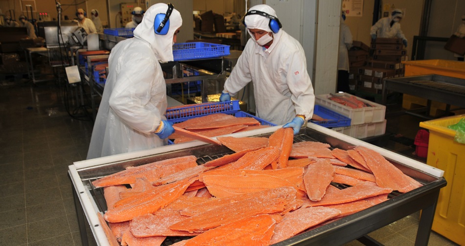 Envíos de salmón y trucha destacan en exportaciones no cobre en septiembre
