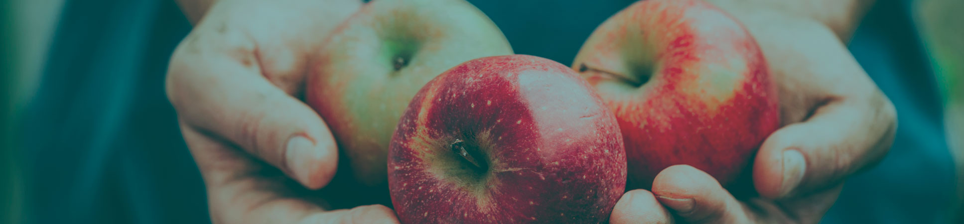 Banner_Organicos