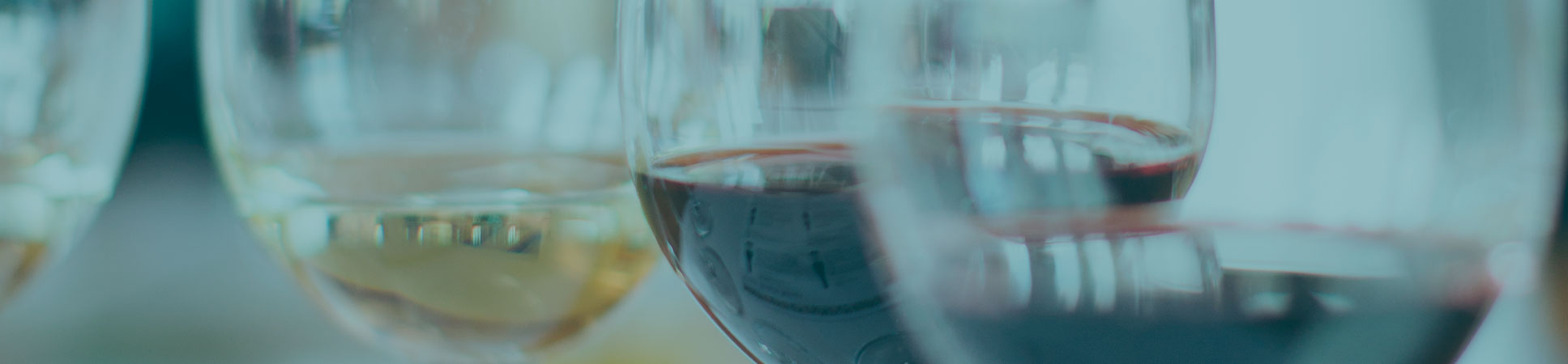 banner_vinos