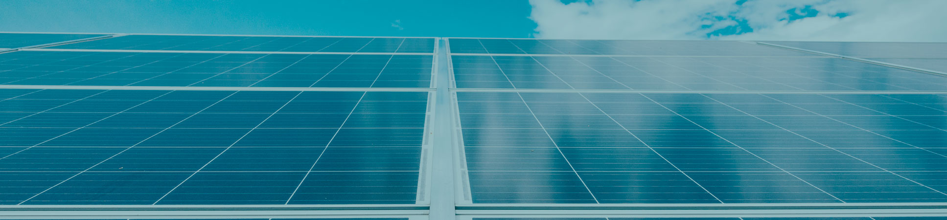 Banner_ernc Banner_ernc