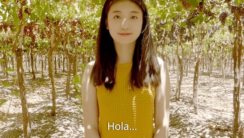 Sector Agroindustria Regional 