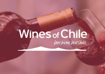 wines of chile