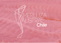 merluza austral chile