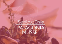 seafood chile patagonia mussel