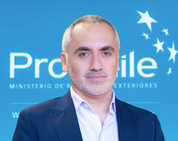 Director Gestión Territorial