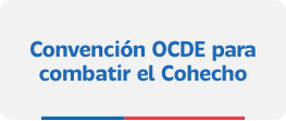 registro de organizaciones consejo sociedad civil