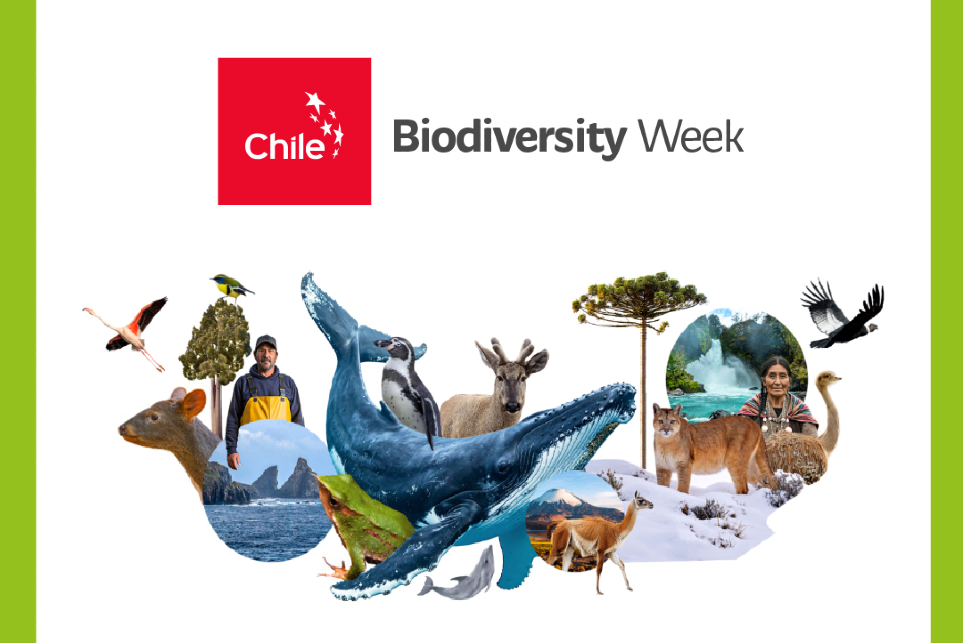 Biodiversity week