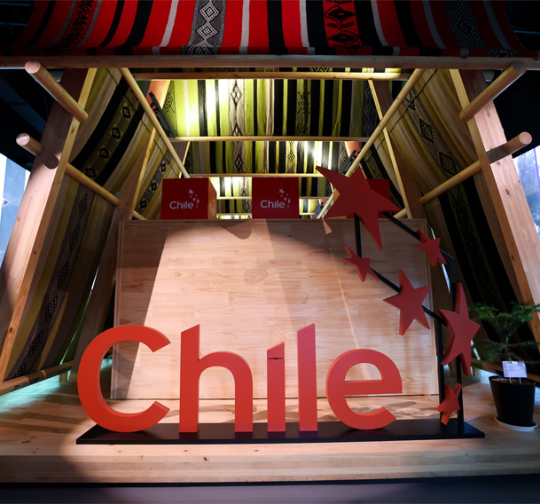 大阪・関西万博　チリの国旗と「Chile」ピンバッチ　希少非売品 超激レア 非売品 大阪・関西万博 2025 チリ館 スタッフピンバッジ